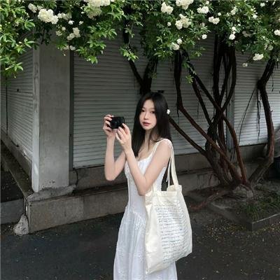 东林恨史
